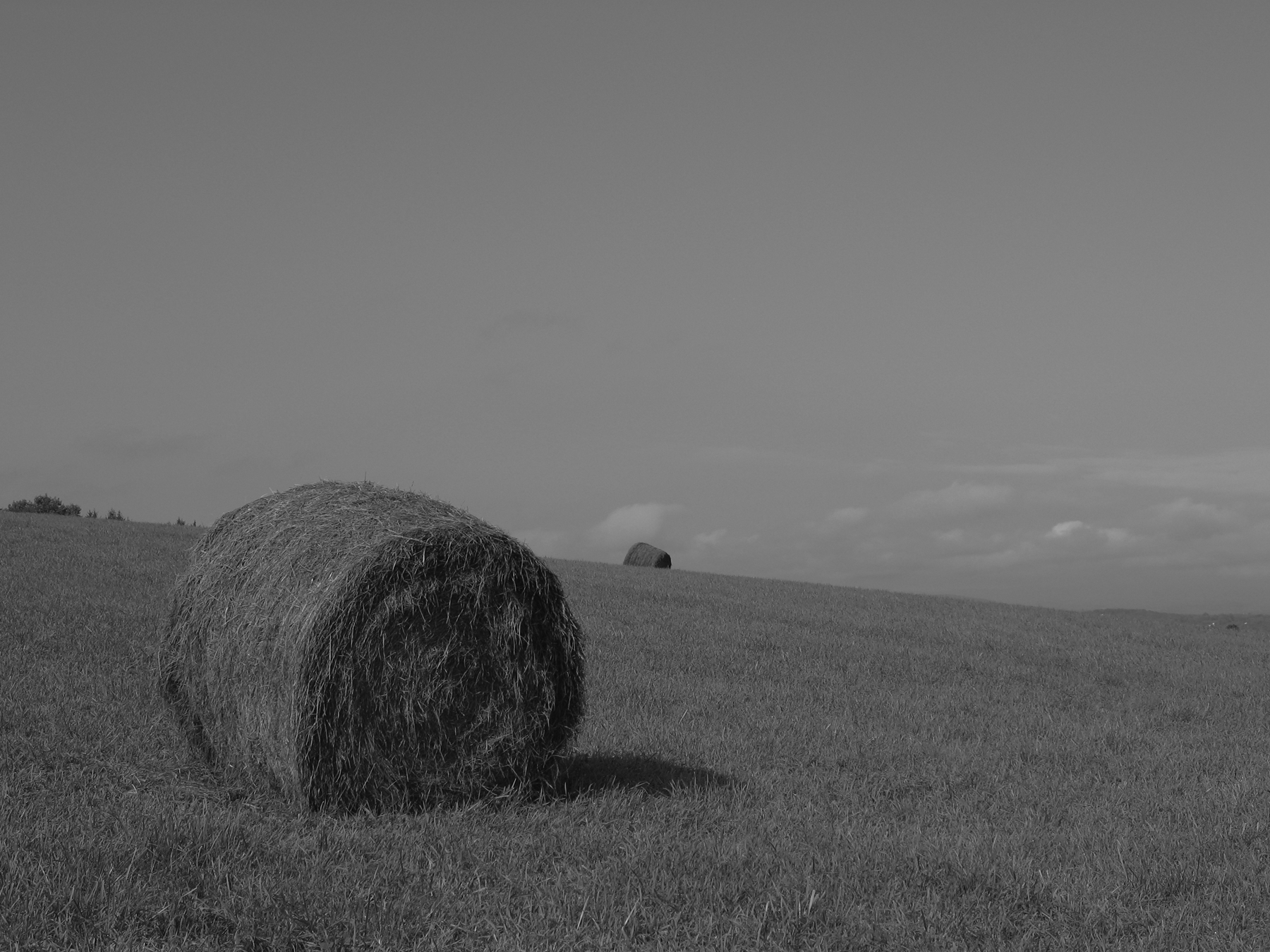 Hay Bale